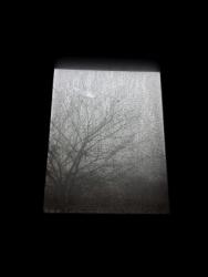 dailyPhoto14